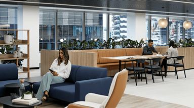 CPA's workplace for financial professionals 